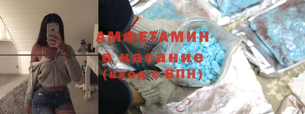 индика Алексин