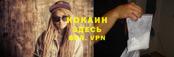 прущие грибы Абаза