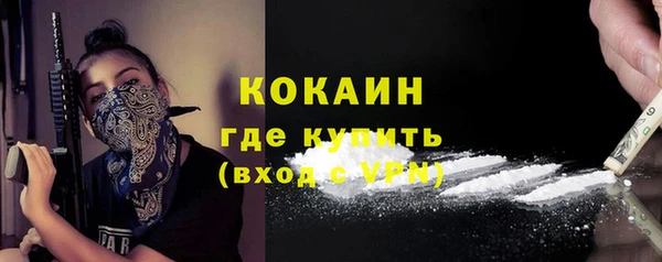 индика Алексин