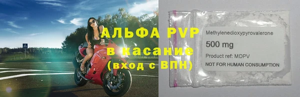 индика Алексин